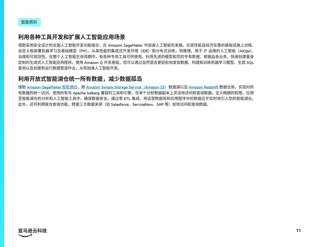 生成式人工智能时代终极指南 奠定夯实数据基础，驱动人工智能基础软件开发